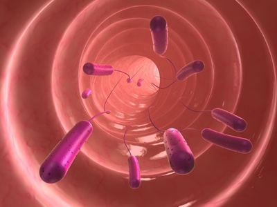 Copyright: Sebastian Kaulitzki - Fotolia