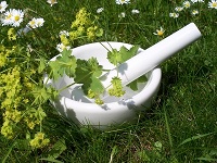 Copyright: Anfor - Fotolia